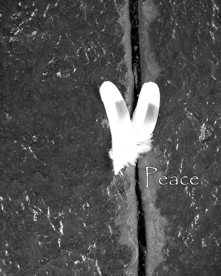 Patriots Day 9/11 Anniversary, Peace, Symbolic Photograph, Vatican White Dove Feathers, 8 x 10, Peace Symbol Photo, Rome, Italy