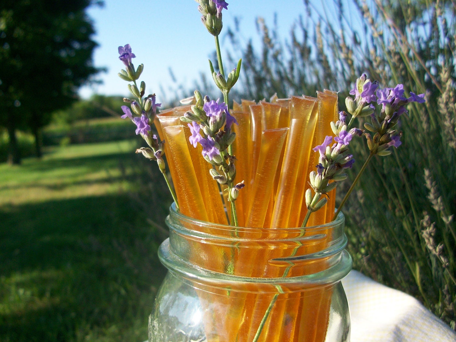 Honey Sticks - Lavender Infused Honey - 25 honey filled straws