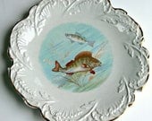 Antique Fish Plate - Empire Porcelain - English Fine China