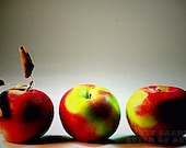 food photography kitchen decor print - apples still life photograph red chartreuse home decor whimsical modern decor - 8x10 print