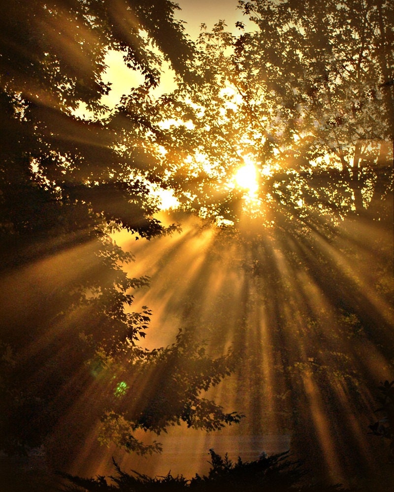 Sunrise Sunset Photography ,gold,Gifts under 25,copper,glowing,sunbeams home decor,stunning