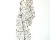 Art, Botanical, Natural, Mothers Day, Leaf Skeleton - Limited Edition Glicee Print from Original Drawing