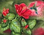 Hummingbird & Hibiscus, 8"x10" Fine Art Print from original watercolor