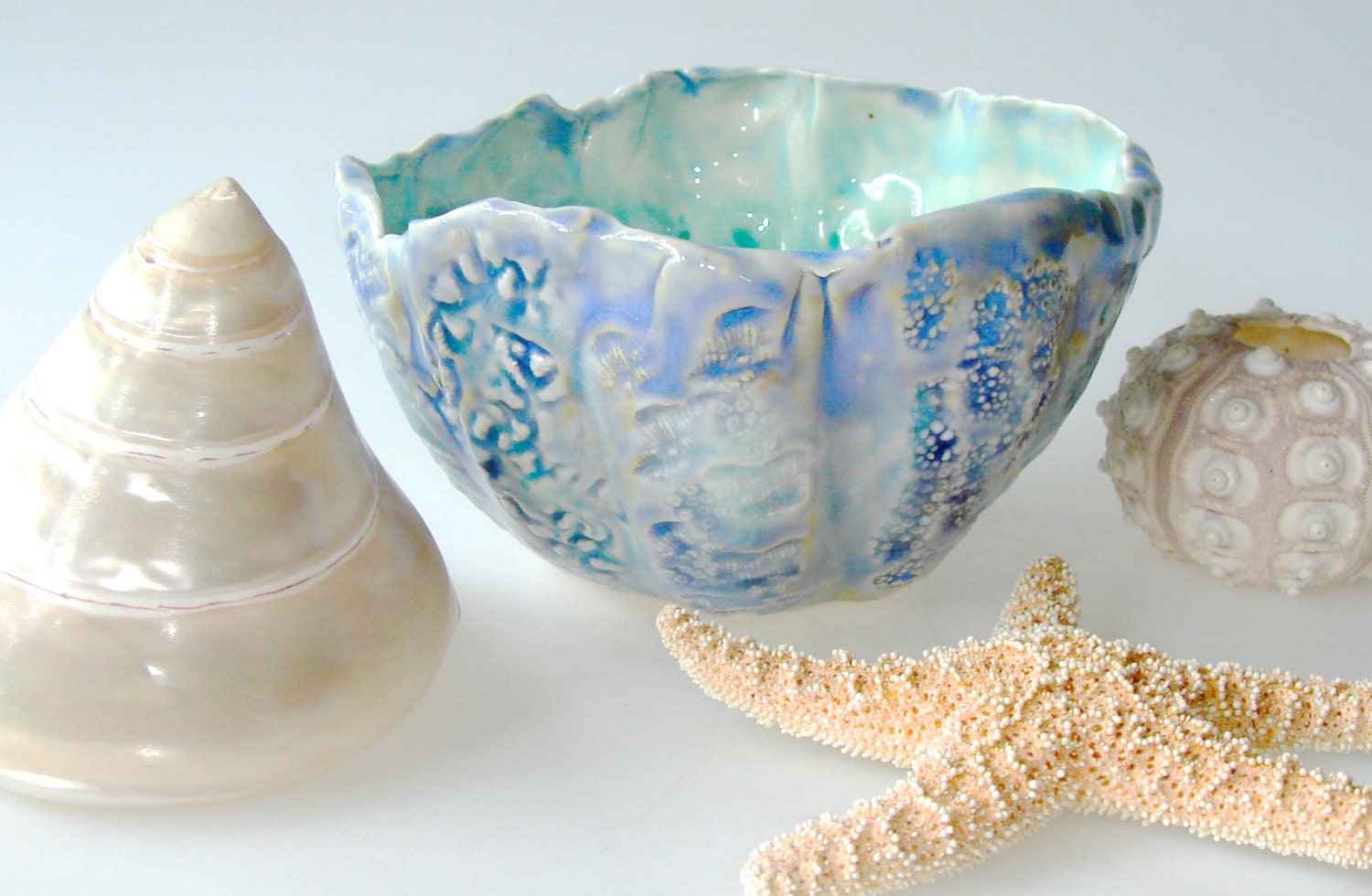 Decorative Ceramic bowl, Ocean inspired Sea Urchin and coral Bowl, Porcelain bowl