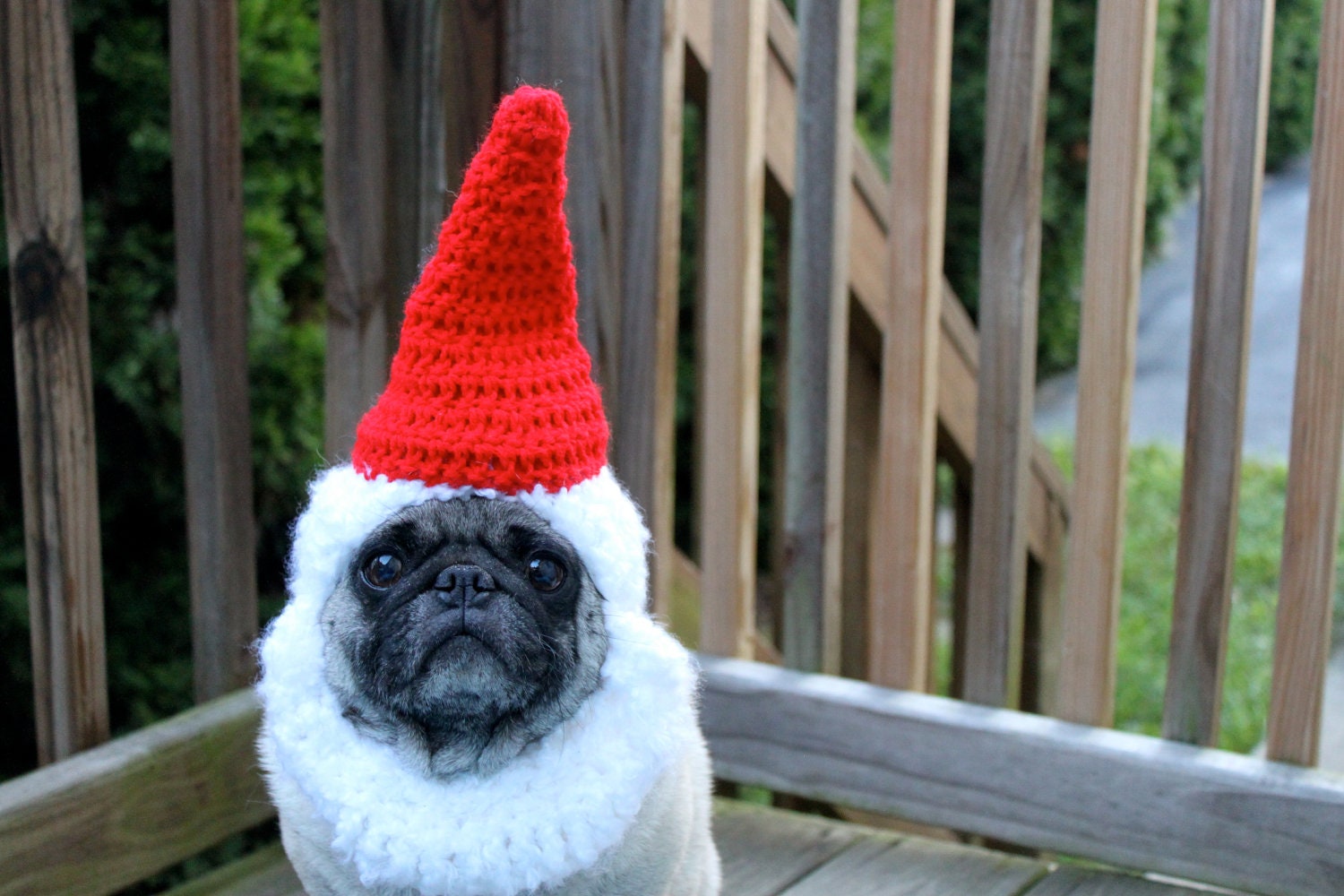 Dog Hat - "Noble Gnome Hat" / Made to Order