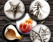 Shells - Digital Collage Sheet CG-542C -1.5 inch (or smaller) circles - for Scrapbooking, Resin, Glass Pendants, Bottle Caps