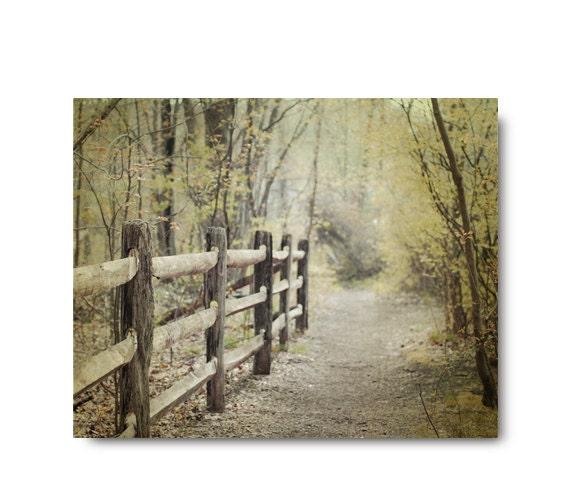 Nature Print, Landscape Photo, Fence, Path, Country Photography, green nature photo,  trees, rustic, forest, fence, woodland