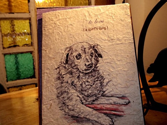 to love ( a spirit's song ) senior dog love