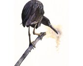 Blue Heron watercolor painting -Bird nature wildlife art-  print of watercolor painting 5 by 7 print