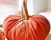 1 Medium Rust-Colored Velvet Pumpkin