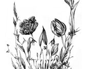 Skull Garden Print