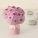 Natural Mushroom Felt Dolls / Rosepe, Lupa and Nedu
