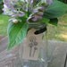 Set of 10 Dandelion Stamped  Kraft Tags with Black Ribbon
