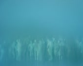Crowd III , fine art original limited edition Photographic screenprint - 65 x 99 cm on somerset paper