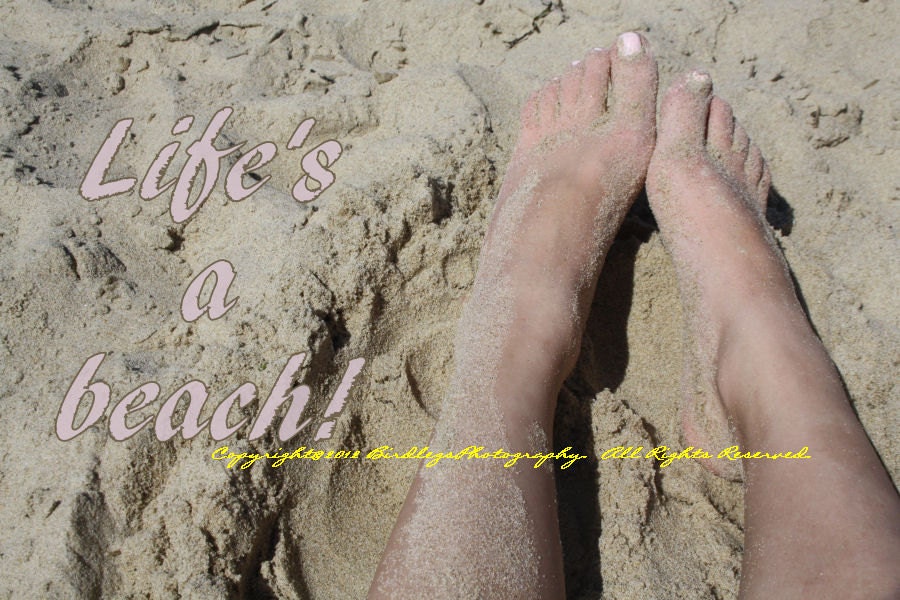 Life's A Beach - Virginia Beach, VA
