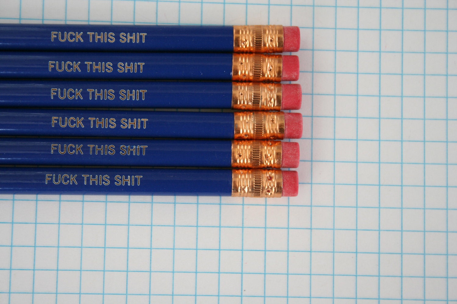 f%ck this sht pencil set 6 six midnight blue pencils. MATURE swears. back to school supplies, college