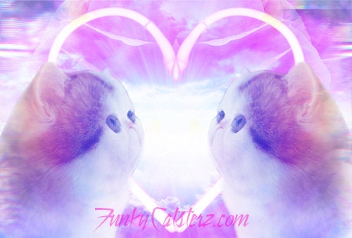 I Just Died In Your Arms Tonight - 8x12 Cat Print