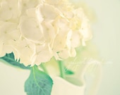Hydrangea photo print romantic flower photography art floral wall decor bridal shower gift nursery decor for her pastels wedding sunshine