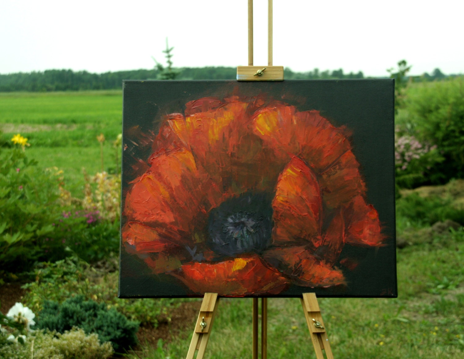 Flamenco red Poppie, Floral original oil painting, size 15' x 19'