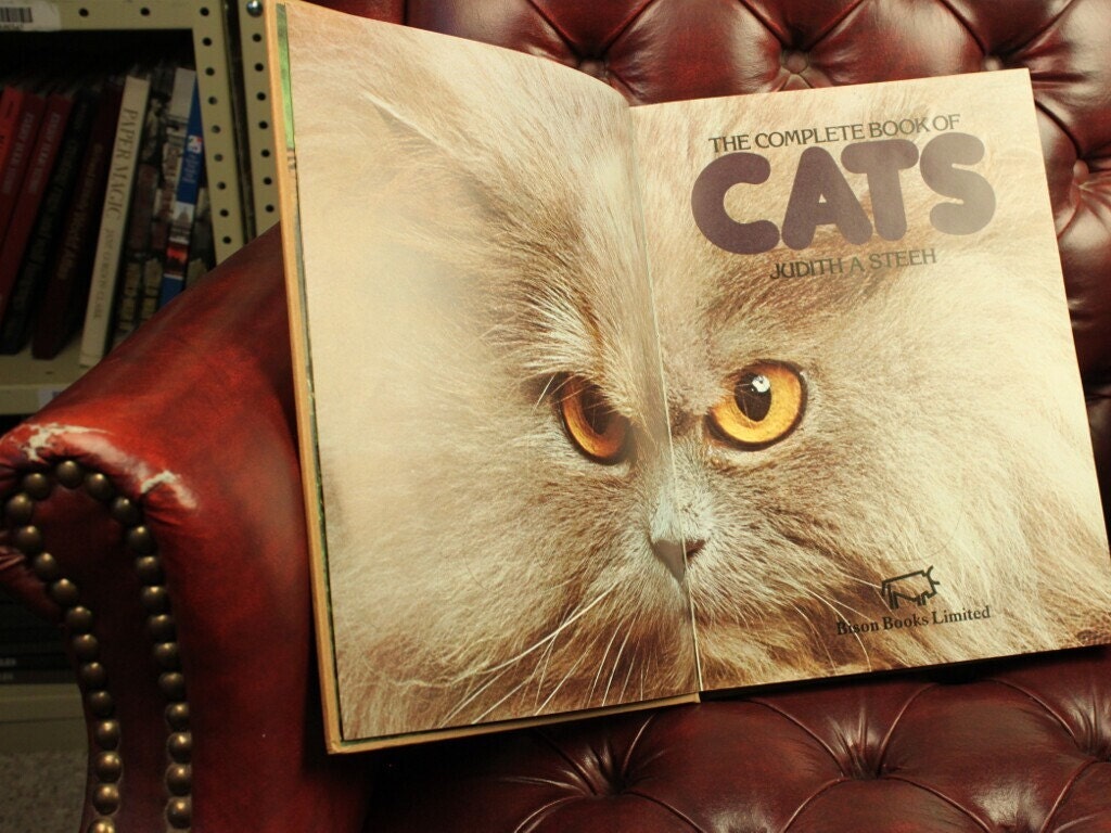 Kindle DX Cat Case by ReAuthored, Book Cover, Cats, Hardcover, Kitten, Reduce, Reuse, ReAuthored