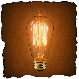 Edison light bulb bulb squirrel cage light bulb listing for one bulb