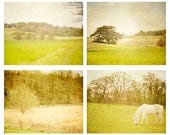 25% Off SALE Discounted Set of Four 8x10 Nature Photographs - Fine Art Prints - Yellow/ Green - landscape photos - wall art - horse photo