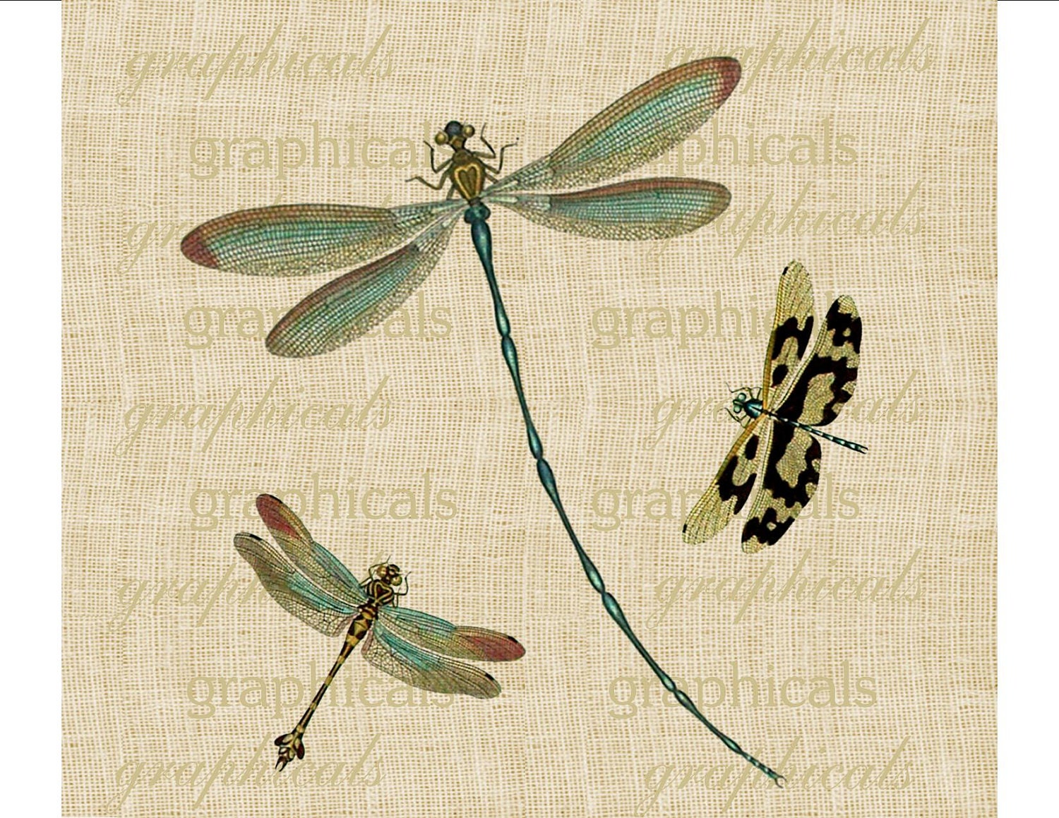 Vintage teal dragonflies insects Digital download graphic image for iron on fabric transfer burlap decoupage pillows papercraft No. 1746