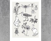 The forest is calling - A4 Print - Swedish nature bird bugs quote, scandinavian