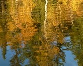 Autumn leaves photography, golden yellow home decor, water, green, blue sky sunshine, lakeside landscape, Fall wall decor, 8x10 nature print