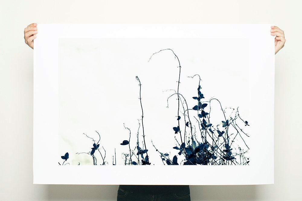 Large Canvas Print Black and White Zen Botanicals 20x30 minimalist wall art living room decor gift for him
