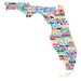 FLORIDA Digital illustration Print of Florida with Cities