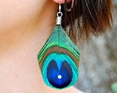 DANCING PEACOCK Feather Earrings