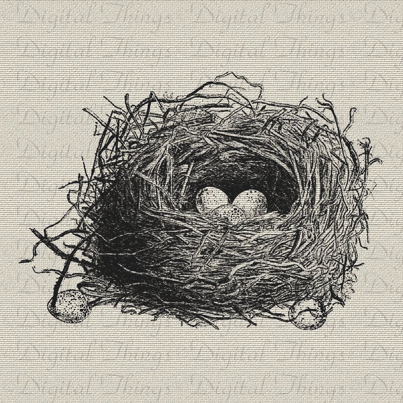Bird Nest Tattoo