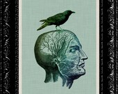Steampunk Anatomy Skull With Bird Print - Vintage Retro Geekery Inspired - Collage Art Print -  8x10 Art Print Poster