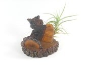 Business Cardholder Grapewood with Air Plant Desk Accessory Executive Bosses Coworker Gift
