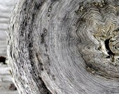 Abstract Art Photography Print - industrial decay modern wall art decor "Circumference" / custom sizes and canvas wraps available