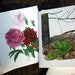 Handmade invitations Watercolor Botanicals Set of 6