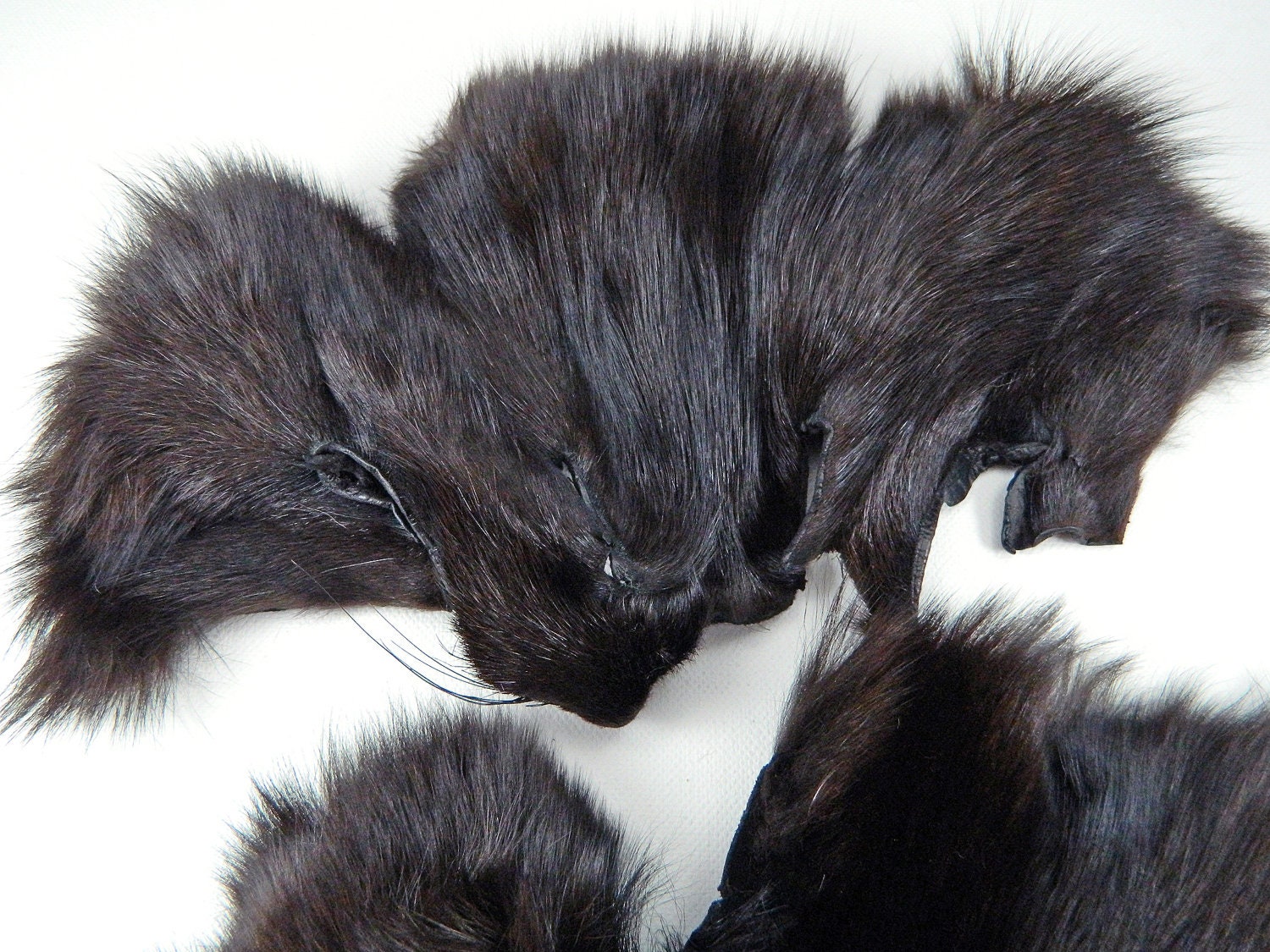 DARK BROWN Fox Faces Pair Fur Scraps Arctic Store Arktika Russia