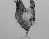 SALE Original charcoal chicken hen poultry  kitchen art sketch by H Irvine