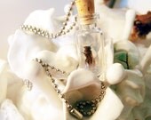 Apothecary -Honey Bee OR Wasp Specimen Bottle Necklace