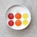 Glass Gem Magnets - Red Dawn - FREE SHIPPING