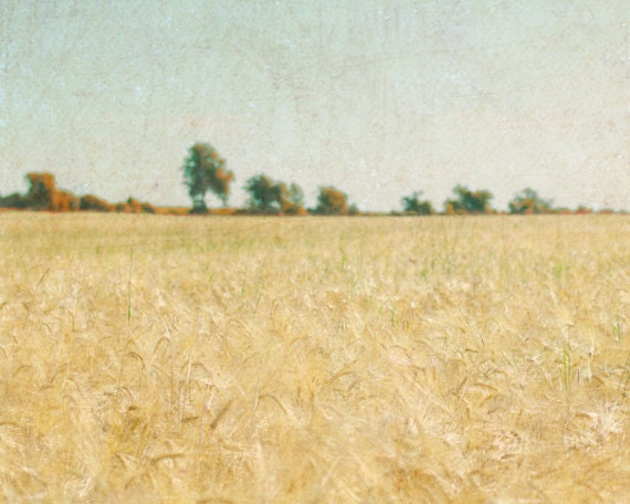Landscape Photography 8x10, Autumn Country Photograph, Rustic Farmhouse Decor, Fall Nature Home Decor, Golden Wheat Wall Decor