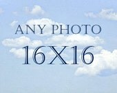 16x16 Square Photography, Nature Photograph, Landscape Print, Floral Photo, Wildlife Artwork, Forest Wall Art