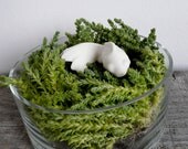 Terrarium Fish Figurine