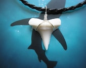 Shark Tooth Necklace, Modern Day White Shark tooth, Silver plated wire - TheSharkToothShop