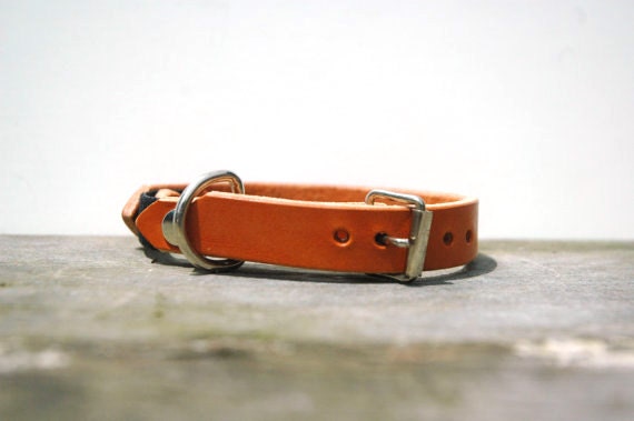 Leather Cat Collar in Honey with Silver