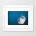 Jellyfish Photo - Aquatic Art Prints, Sea life, Pearl, Jellies, Jelly, Fish, Seaside Decor, Summer, Underwater Art, Lonely Pearl