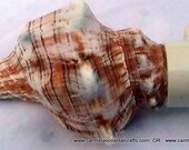 Sea Shell Night Light