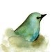 Blue Bird Print from my Original Watercolor Painting