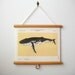 Mini Printed Fabric Vintage Style School Science Chart with Wood Trim - Whale (11" x 9")